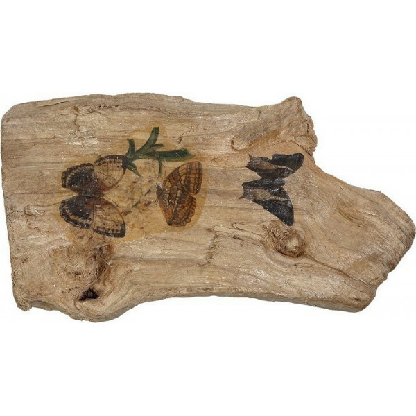 Διακοσμητικό Ξύλο "Πεταλούδες" Natural 20x12x4,5 - ESPIEL