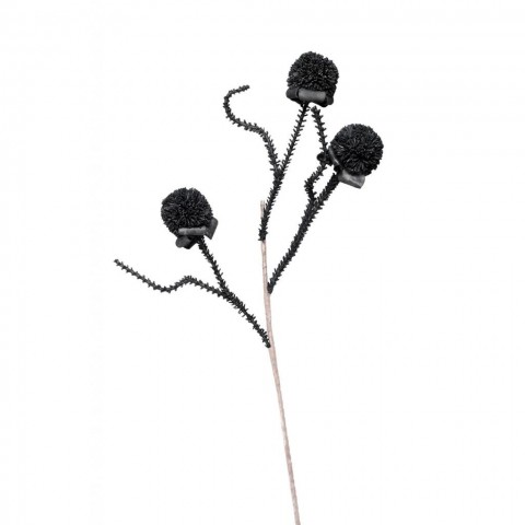 ΛΟΥΛΟΥΔΙ ΜΑΥΡΟ - ESPIEL