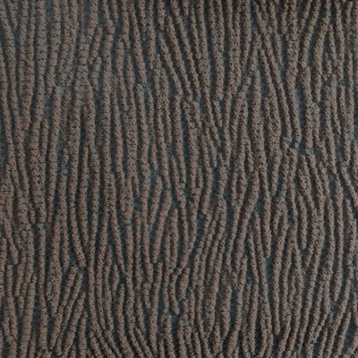 Με οβάλ πλάτη αχιβάδα 2