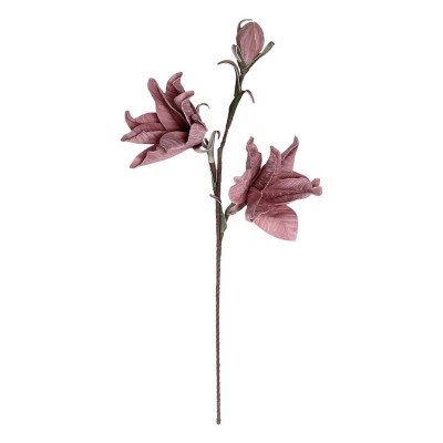 Διακόσμηση