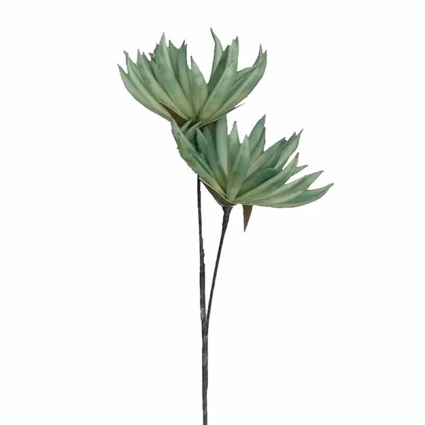 ΛΟΥΛΟΥΔΙ ΠΡΑΣΙΝΟ LOL974K6 - ESPIEL5205918291853