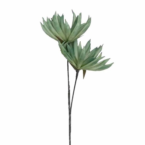 ΛΟΥΛΟΥΔΙ ΠΡΑΣΙΝΟ LOL974K6 - ESPIEL5205918291853