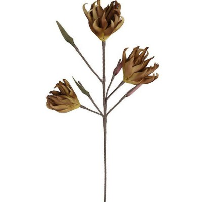 Διακόσμηση