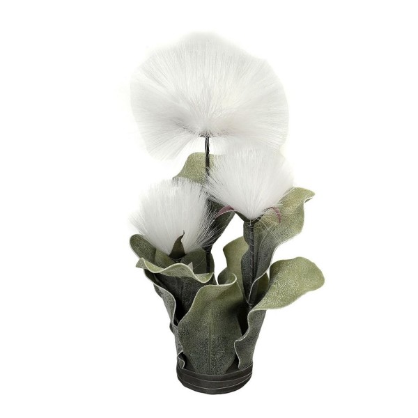 ΜΠΟΥΚΕΤΟ PAMPASS ΛΕΥΚΟ 42ΕΚ.   MAP144K6  ESPIEL5205918353612