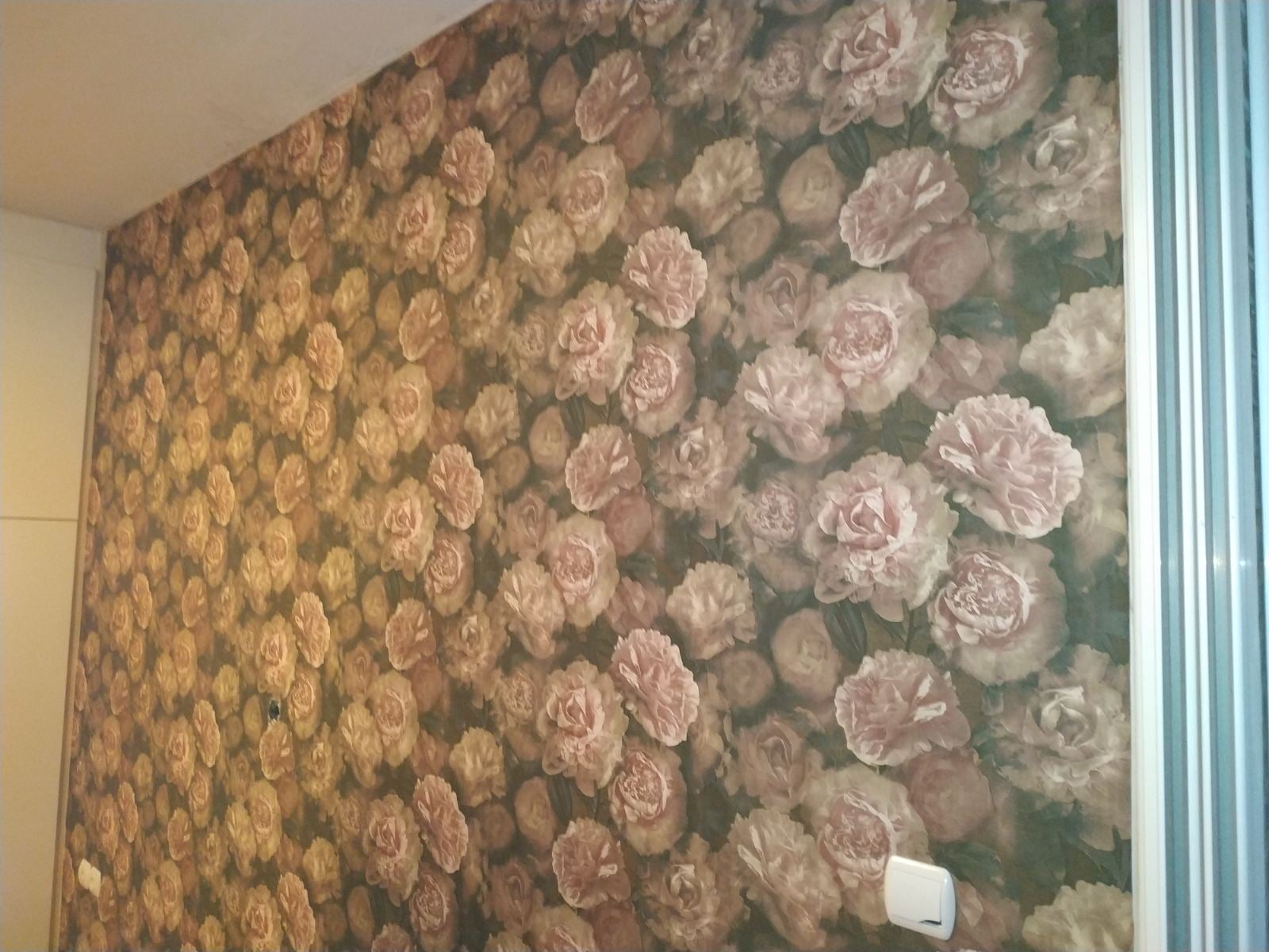 &Tau;&alpha;&pi;&epsilon;&tau;&sigma;&alpha;&rho;ί&alpha; &tau;&omicron;ί&chi;&omicron;&upsilon;